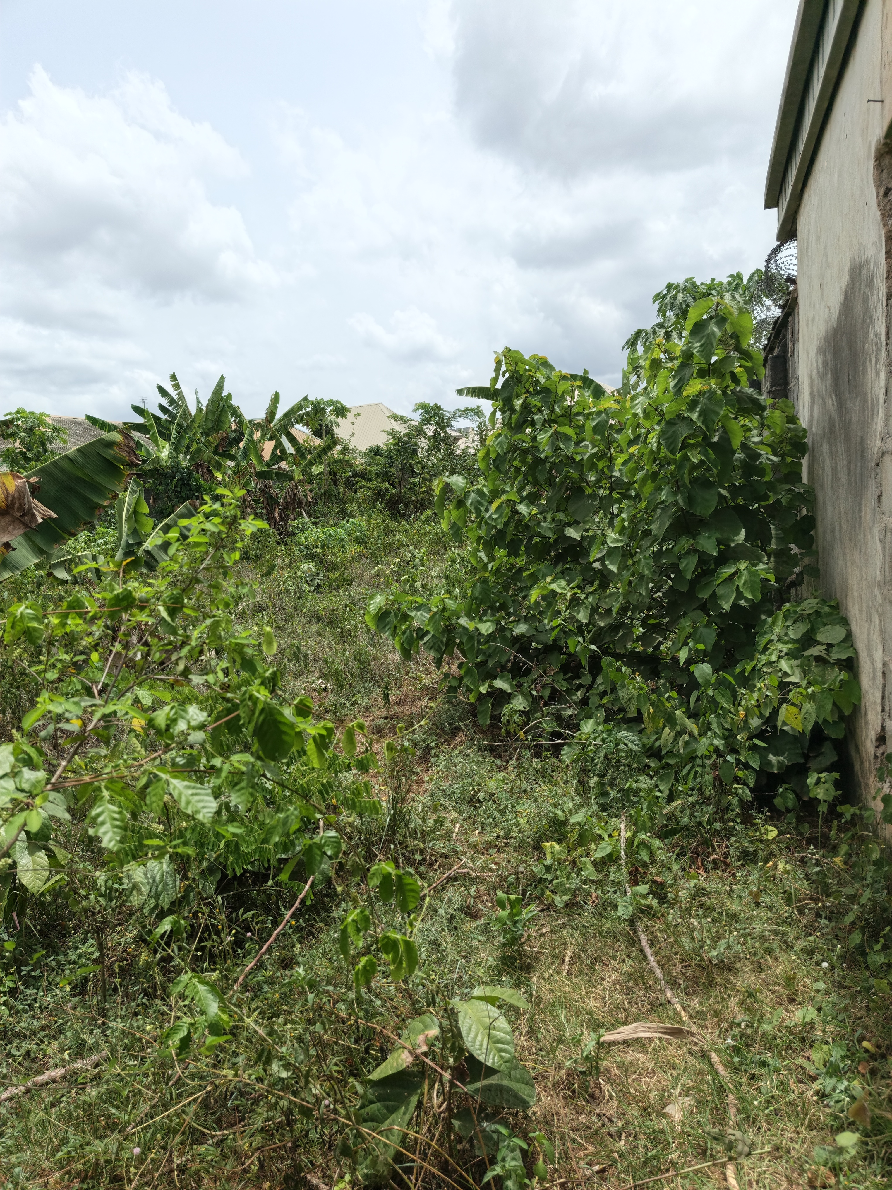 Fenced & Gated Full Plot of Dry Land 